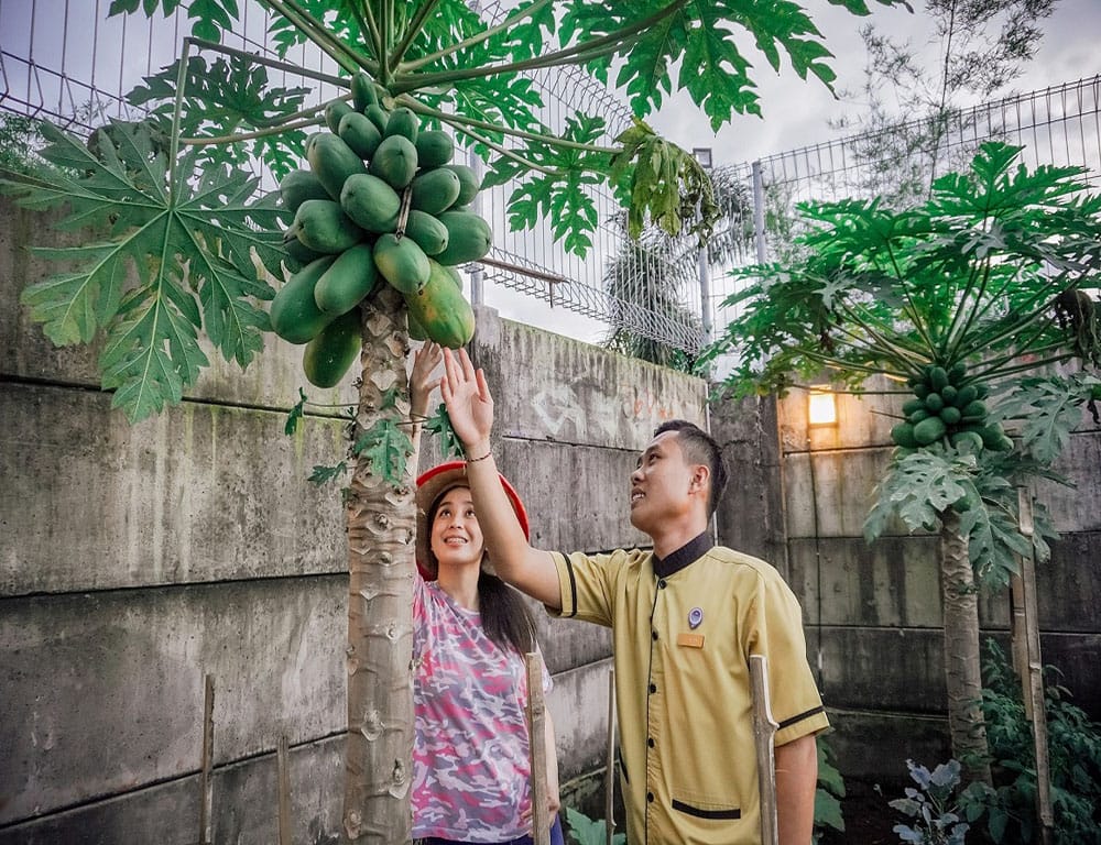 Grand Mercure Malang Mirama